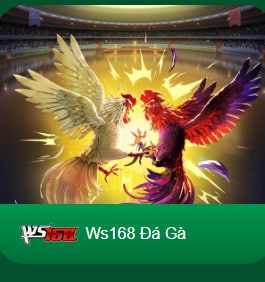 tf88